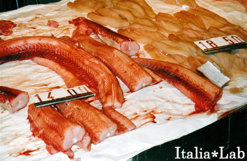 ベネツィアの魚市場